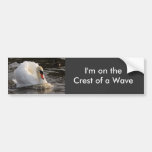 Busking Swan Bumper Stickers