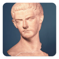 Bust of Emperor Caligula  from Thrace, c.39-40 AD Stickers