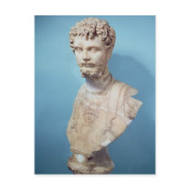 Bust of Septimus Severus Post Card