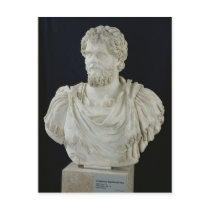 Bust of Septimus Severus Postcard