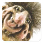 Busta Troll Square Stickers