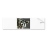 Busted bumper stickers