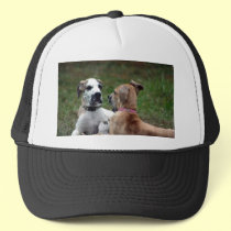 buster and jade 3 hats by CyrScenes buster and jade 3 hats