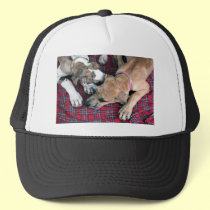 buster and jade 4 hats by CyrScenes buster and jade 4 hats