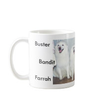 Buster, Bandit and Farrah mug