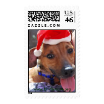Buster-Brown Stamps