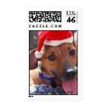 Buster-Brown Stamps