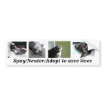 Buster & Gabe bumper sticker bumper stickers