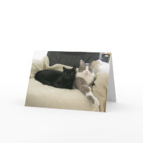 Buster & Gabe - Customizable Greeting Card