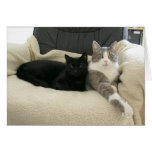 Buster & Gabe - Customizable Greeting Card cards