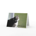Buster & Gabe - Missing You (customizable) cards by RozSmith Buster & Gabe - Missing You (customizable) cards
