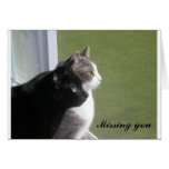 Buster & Gabe - Missing You (customizable) cards
