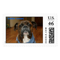 Buster in bandana postage