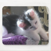 Buster Kitten mousepads