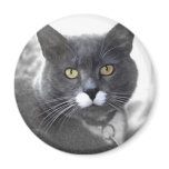 BUSTER REFRIGERATOR MAGNETS