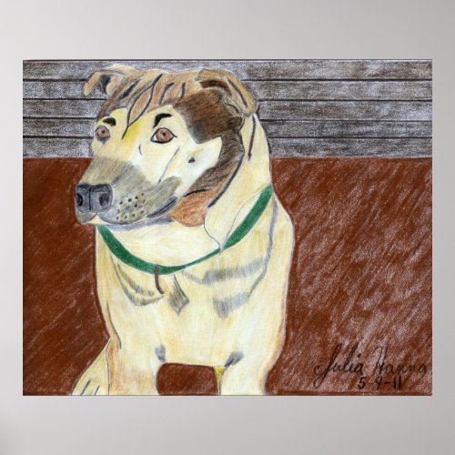 Buster On The Deck by Julia Hanna print