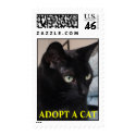 Buster postage: ADOPT A CAT postage