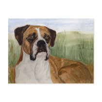 'Buster' Postcard by picklelillysdad 'Buster' Postcard