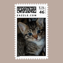 Buster stamps