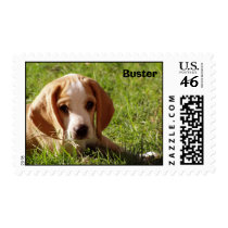 Buster the Lemon Beagle postage