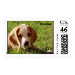 Buster the Lemon Beagle postage