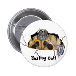 Busting Out! Turtle Pinback Button