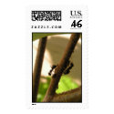 Busy ants postage
