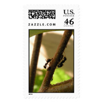 Busy ants stamps
