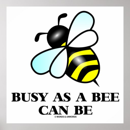 Busy As A Bee Can Be (Bee Drawing) Poster Zazzle