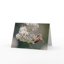 Busy as a Bee Card by digitaldave777 Busy as a Bee Card