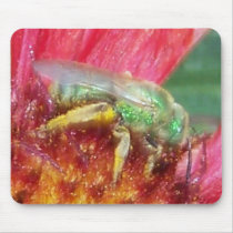 busy-as-a-bee mousepads
