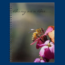 Busy as a Bee notebooks