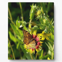 Busy As A Butterfly plaques