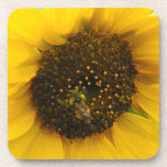 Busy Bee Accented Edges Beverage Coaster