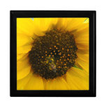 Busy Bee Accented Edges Keepsake Boxes