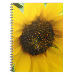 Busy Bee Accented Edges Spiral Note Book