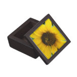 Busy Bee Accented Edges Premium Jewelry Boxes