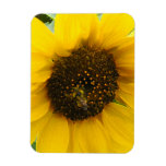 Busy Bee Accented Edges Rectangle Magnet