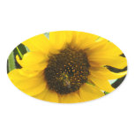Busy Bee Accented Edges Oval Sticker