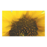 Busy Bee Accented Edges Rectangle Stickers
