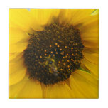Busy Bee Accented Edges Ceramic Tiles