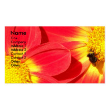 Busy Bee Business Card