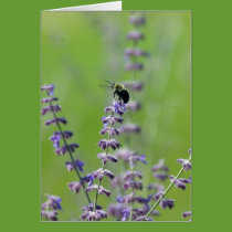 Busy Bee Card