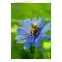 Busy bee cards