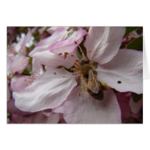 Busy Bee Cards