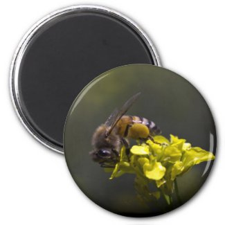 Busy Bee Fridge Magnet