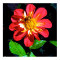 BUSY BEE LARGE POSTER posters by ourblueheavendesigns BUSY BEE LARGE POSTER posters