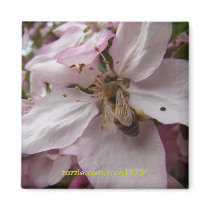 Busy Bee Refrigerator Magnets