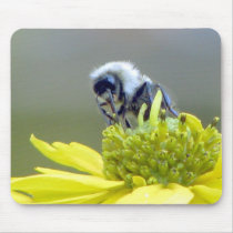 busy bee mousepads by Shutterbuggreg busy bee mousepads