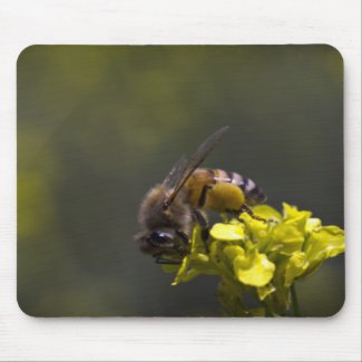Busy Bee Mousepads